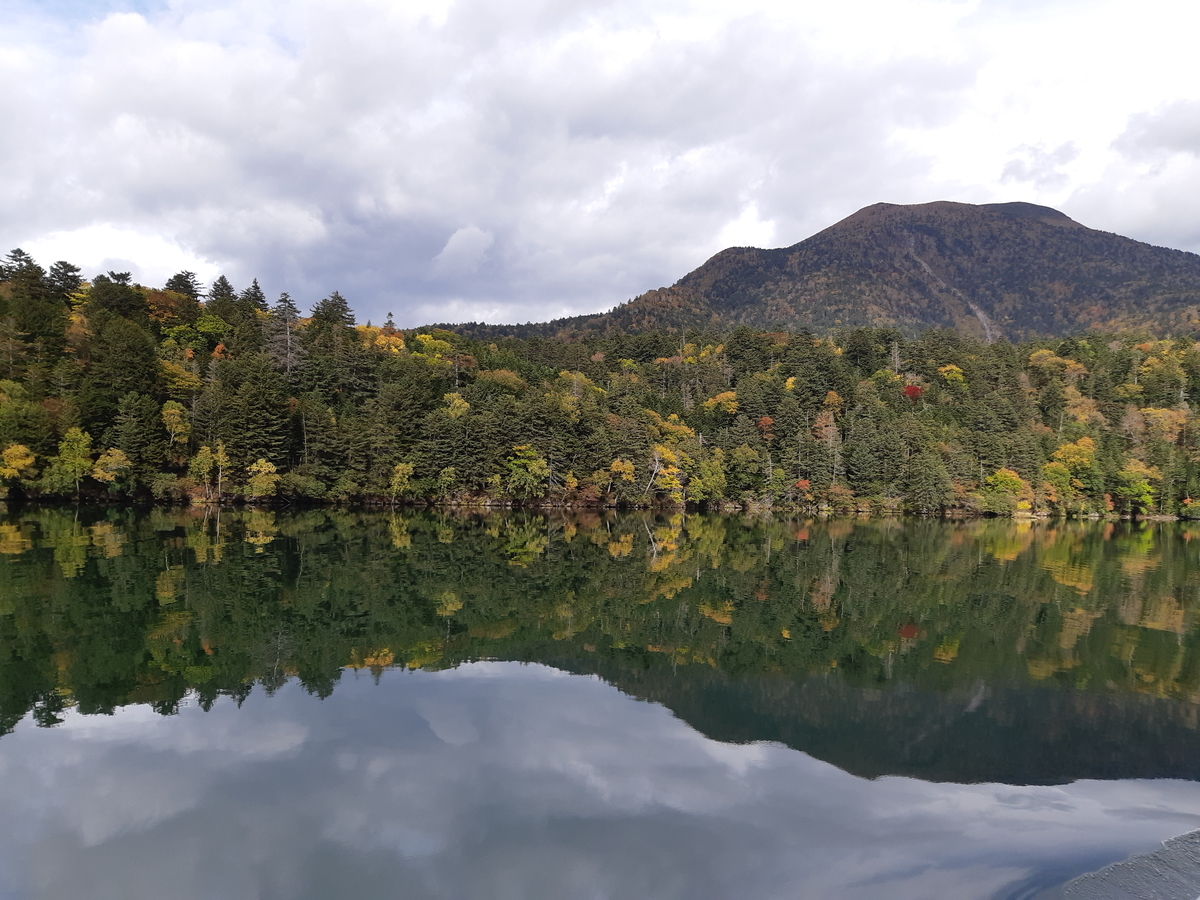 f:id:cladoalgae:20201009060430j:plain