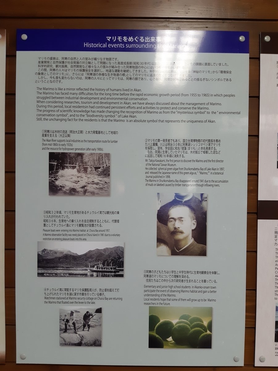 f:id:cladoalgae:20201009061431j:plain