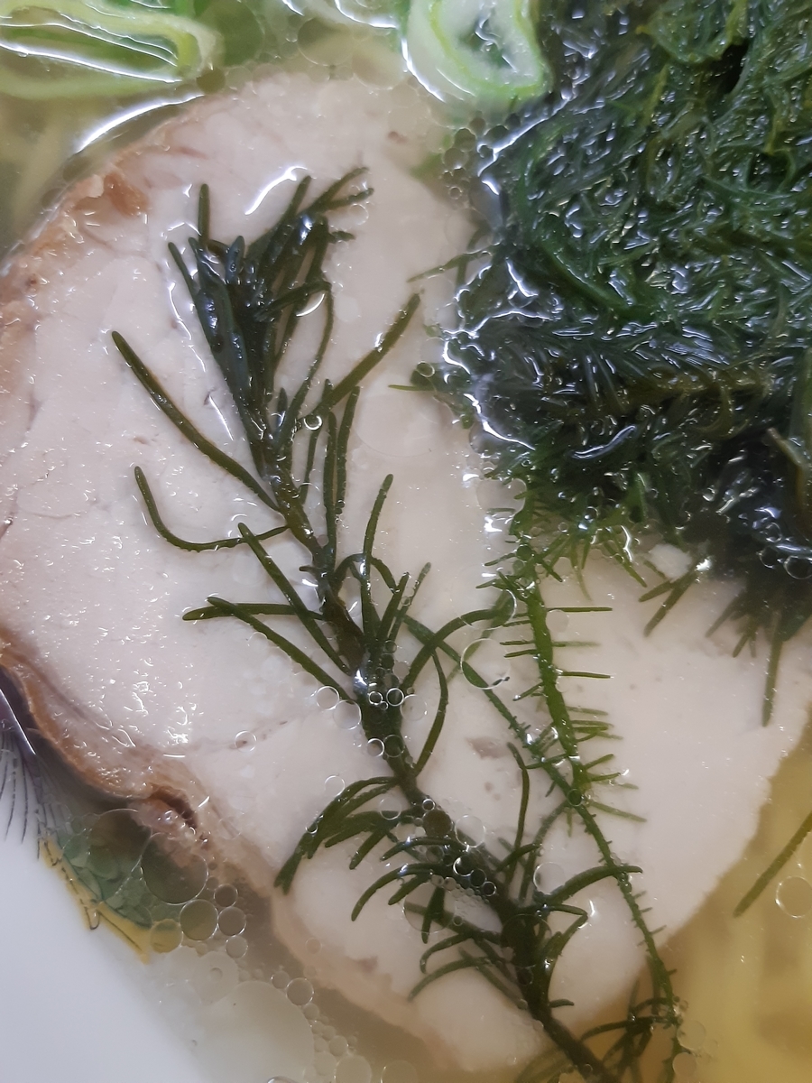 f:id:cladoalgae:20201009062142j:plain