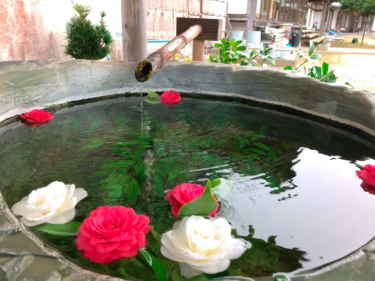 f:id:clala_1:20200825003118j:plain f:id:clala_1:20200825003118j:plain