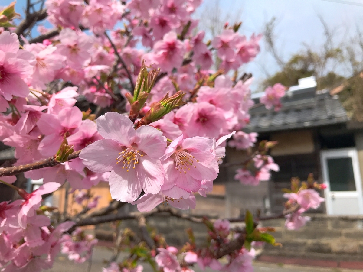 f:id:clala_1:20200825003135j:plain f:id:clala_1:20200825003135j:plain