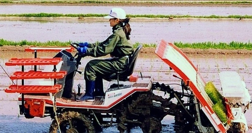 田んぼで田植え機を運転する人の様子（農作業の効率化と最適化のイメージ）