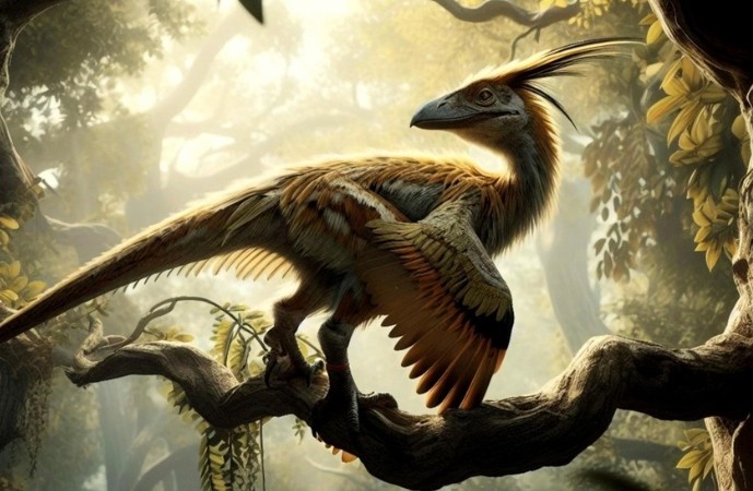 爬虫類のウロコが羽に進化したとされる始祖鳥のイメージ（鳥類の起源を示す生物）