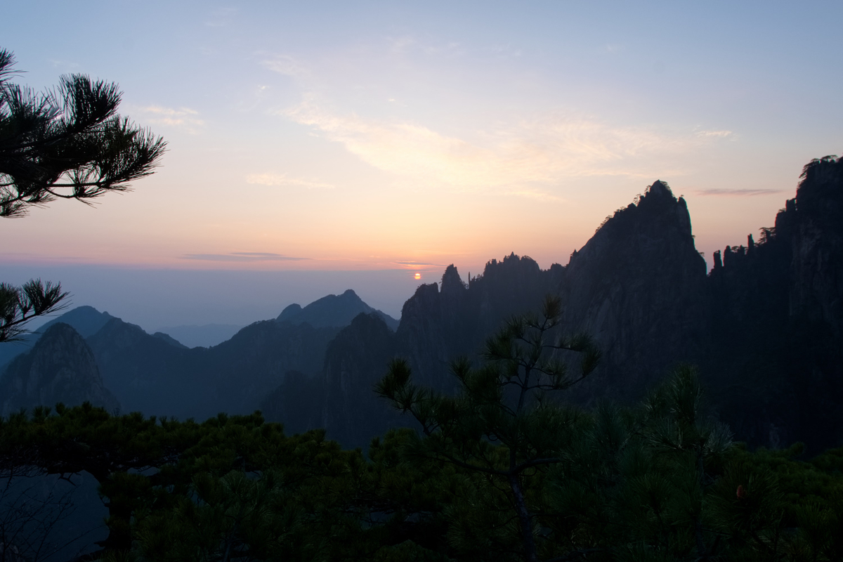 水墨画 シルク製 山水画 松の木