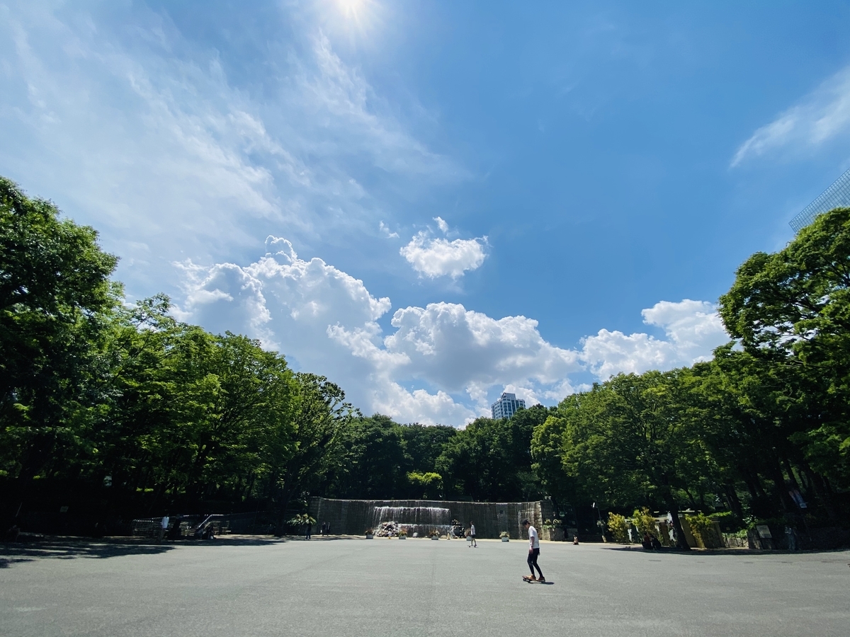 新宿中央公園、都庁下