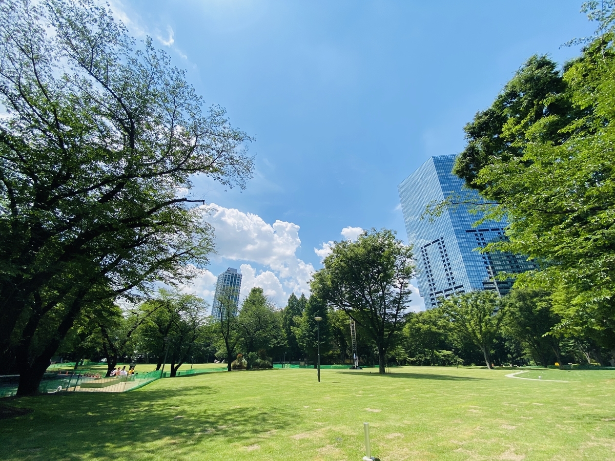 新宿中央公園　芝生広場