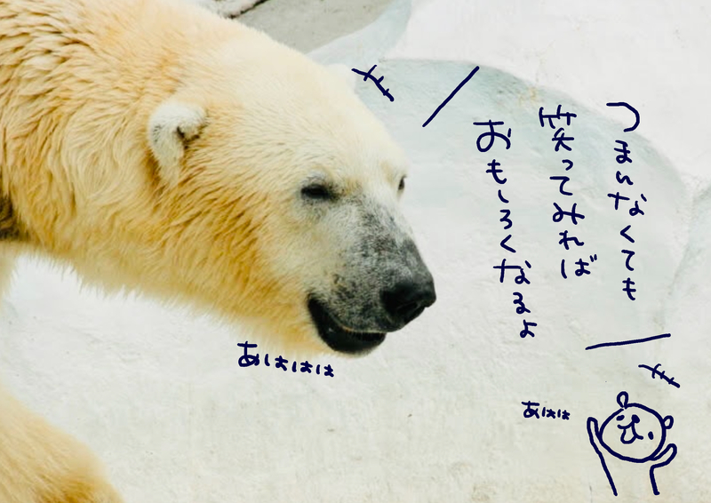 f:id:clara-stoopman:20201009130553j:plain