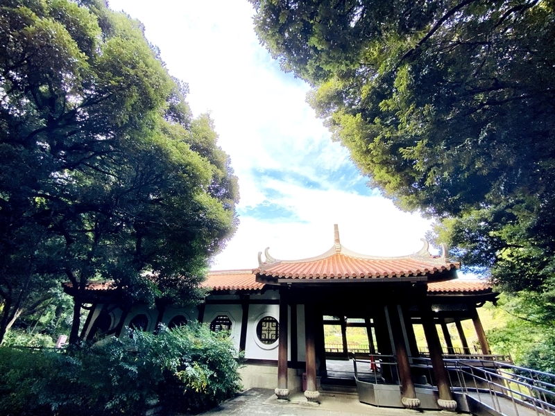 f:id:clara-stoopman:20201017191044j:plain f:id:clara-stoopman:20201017191044j:plain