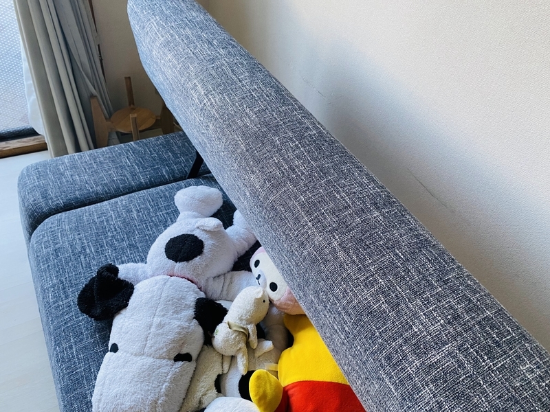 f:id:clara-stoopman:20220105225646j:plain