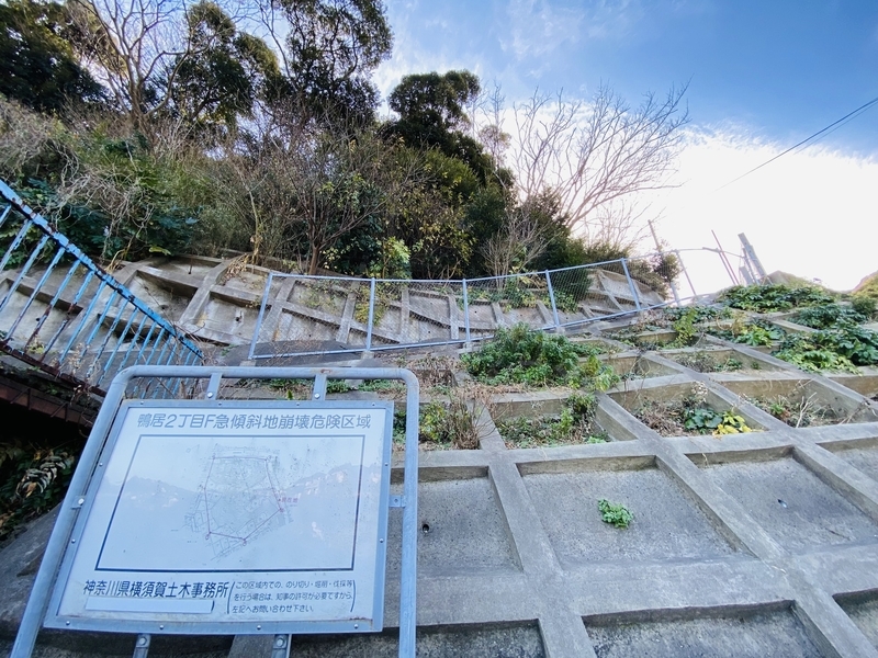 f:id:clara-stoopman:20220110150753j:plain