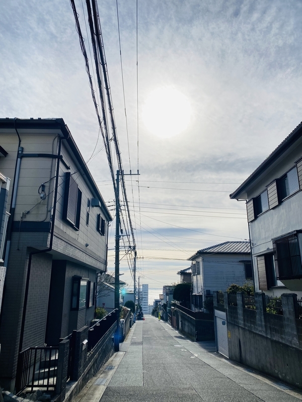 f:id:clara-stoopman:20220110152606j:plain