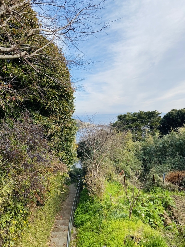 f:id:clara-stoopman:20220110160512j:plain