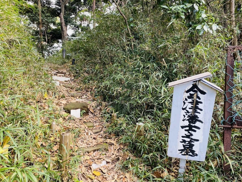 f:id:clara-stoopman:20220110172413j:plain