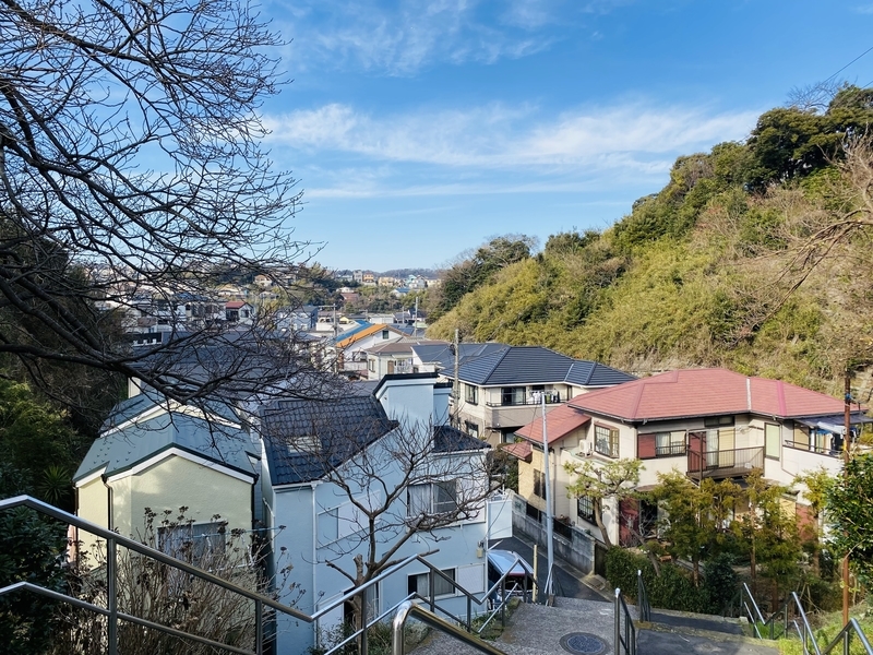 f:id:clara-stoopman:20220110174957j:plain