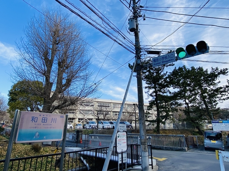 f:id:clara-stoopman:20220110191353j:plain