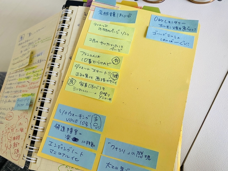 f:id:clara-stoopman:20220119165121j:plain