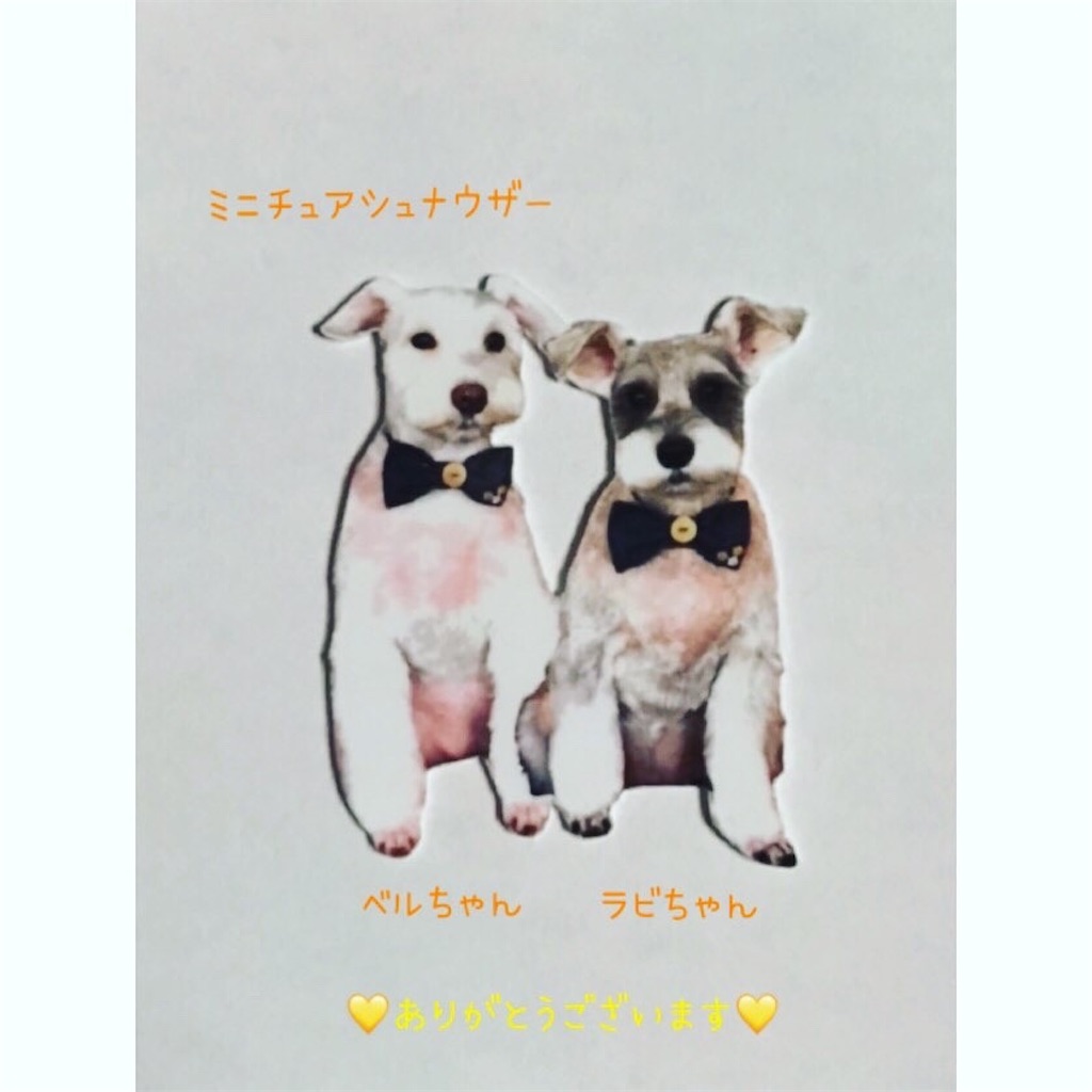 f:id:clarissa-luciano:20210811103340j:image
