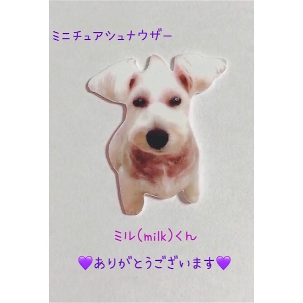 f:id:clarissa-luciano:20210915171910j:image