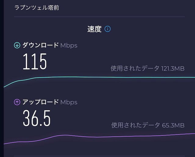 ラプンツェルの塔前での測定結果