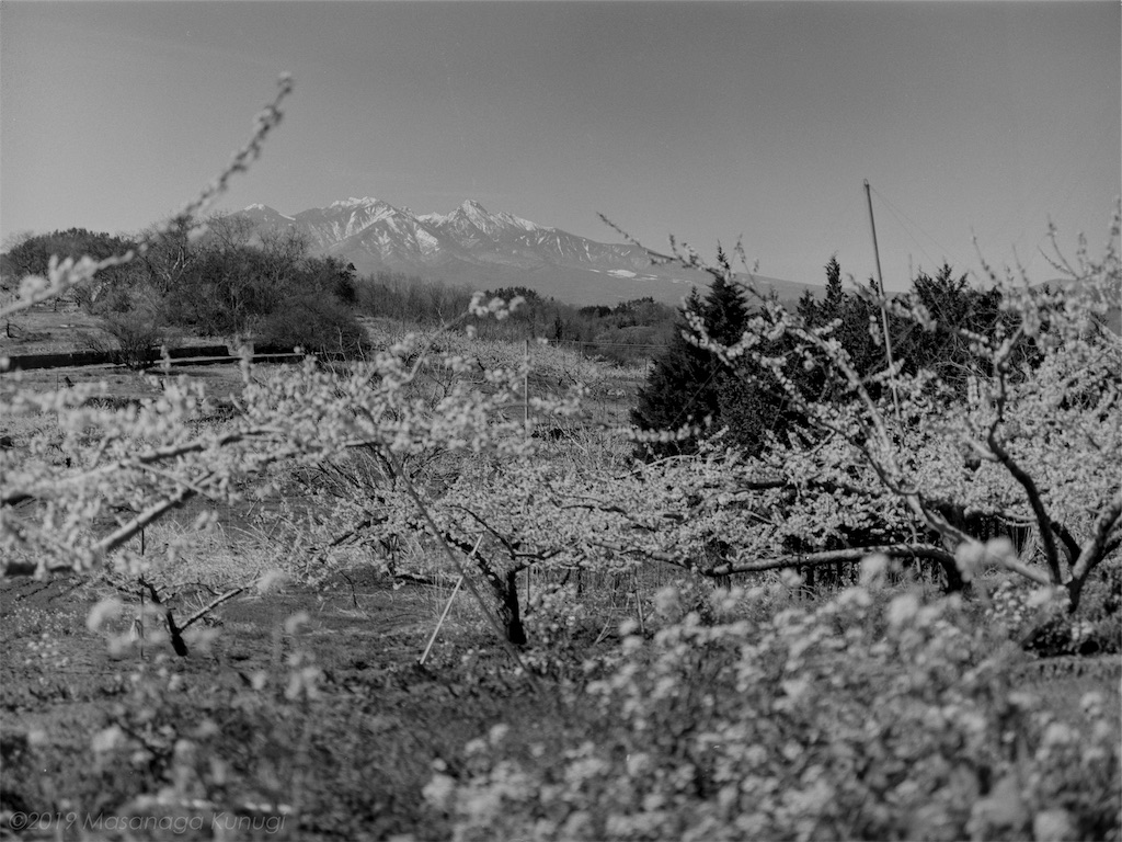 f:id:classical_photoclub:20190507122613j:image