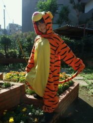 f:id:claudine:20100104000008j:image