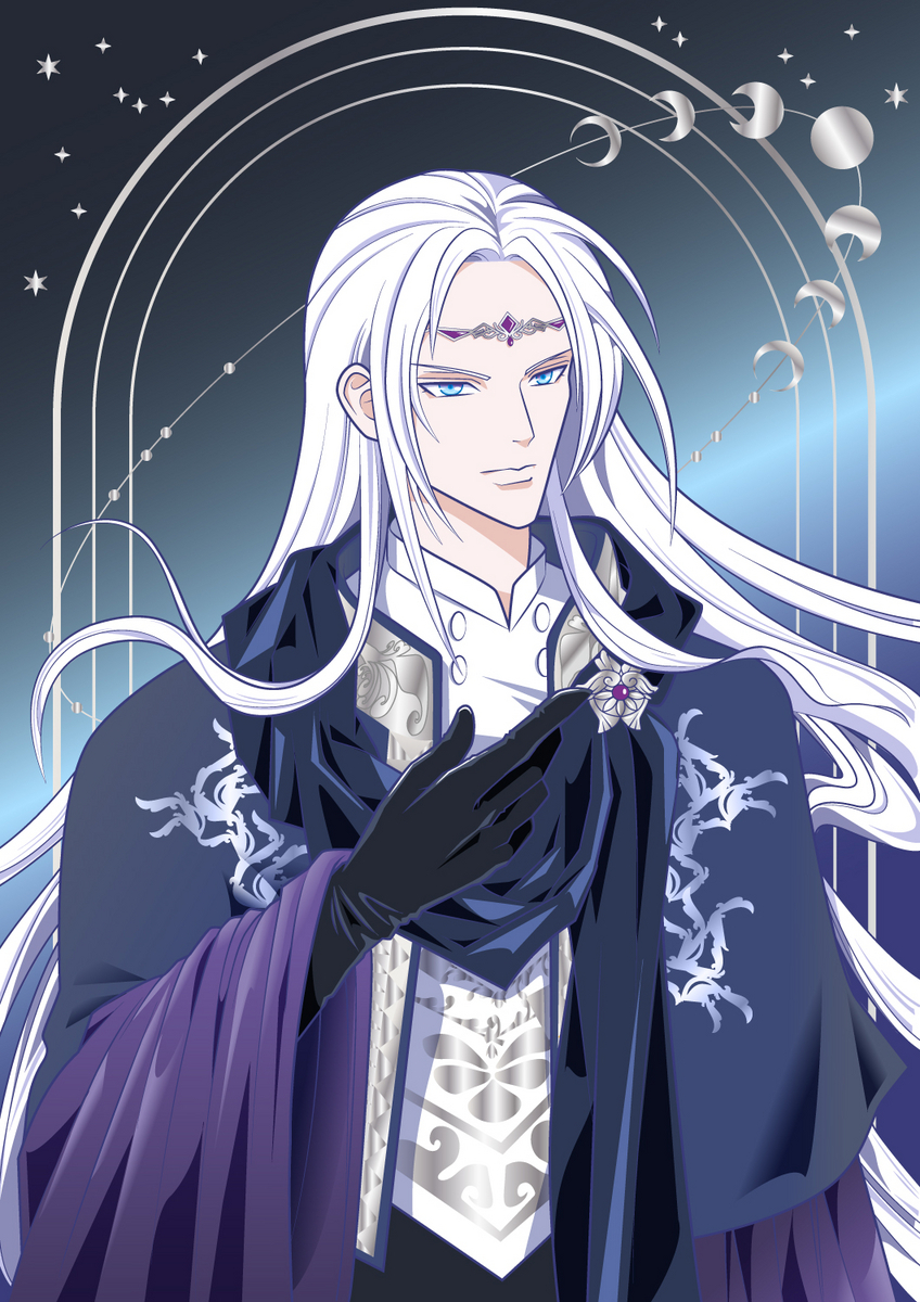 黒手袋の闇の守護聖の図 - レイの日記