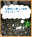 [ブログペット]