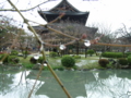 [京都旅行]東寺