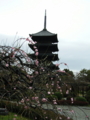 [京都旅行]東寺