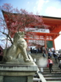 [京都旅行]清水寺