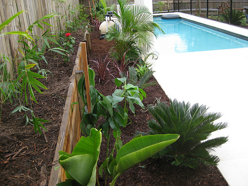 f:id:cleanupsgarden:20161226215349j:plain f:id:cleanupsgarden:20161226215349j:plain