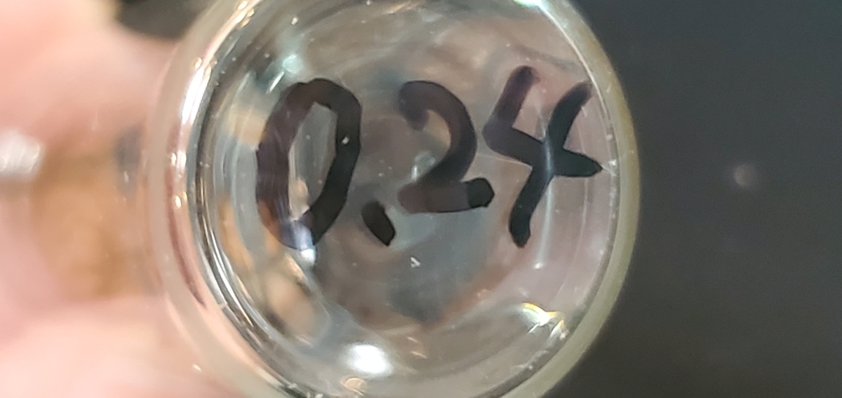 f:id:clear-rainy:20200903001519j:plain f:id:clear-rainy:20200903001519j:plain