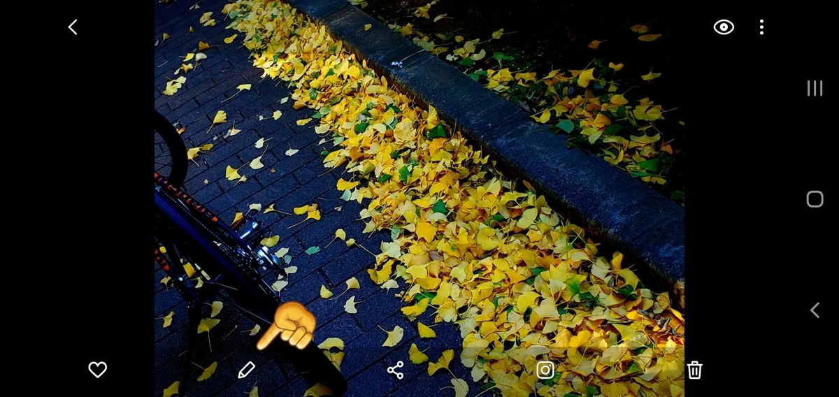 f:id:clear-rainy:20201122165828j:plain