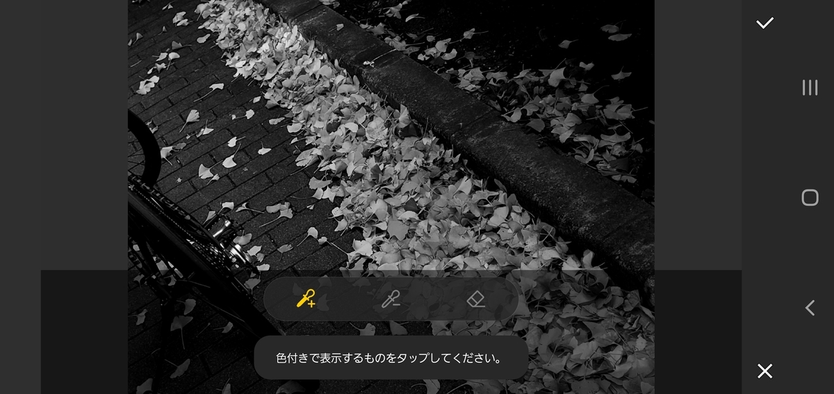 f:id:clear-rainy:20201122170322j:plain