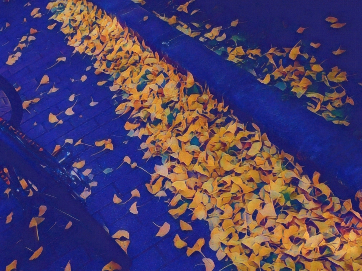 f:id:clear-rainy:20201122170742j:plain