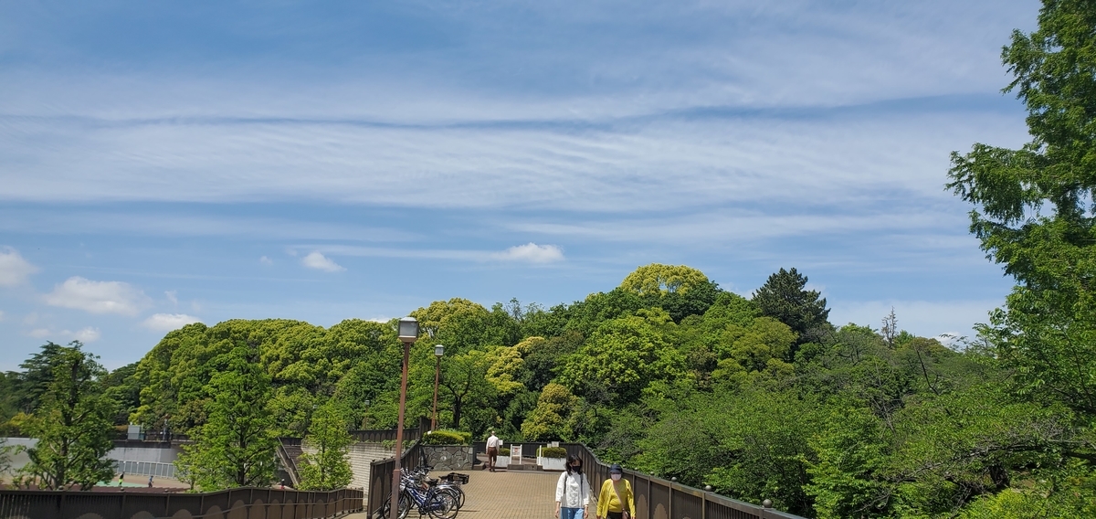 f:id:clear-rainy:20210506162922j:plain