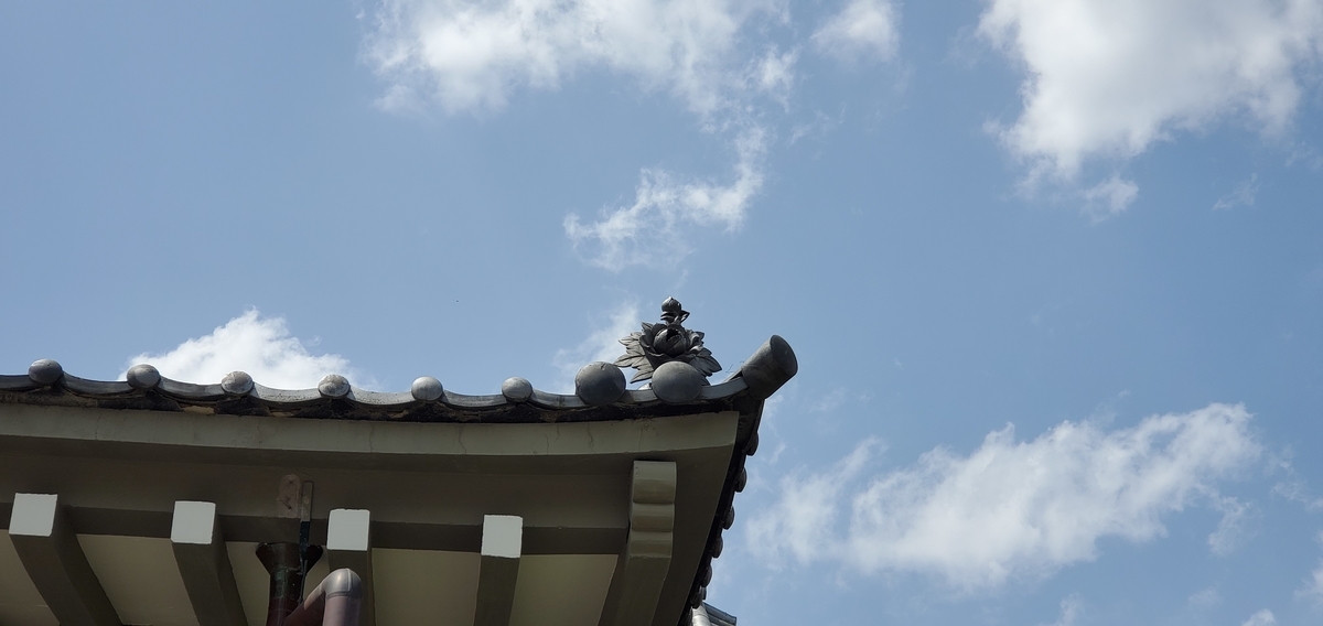 f:id:clear-rainy:20210511095036j:plain
