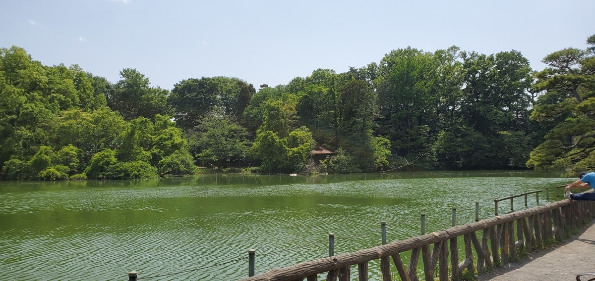 f:id:clear-rainy:20210511095221j:plain