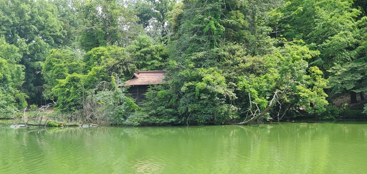 f:id:clear-rainy:20210511095331j:plain