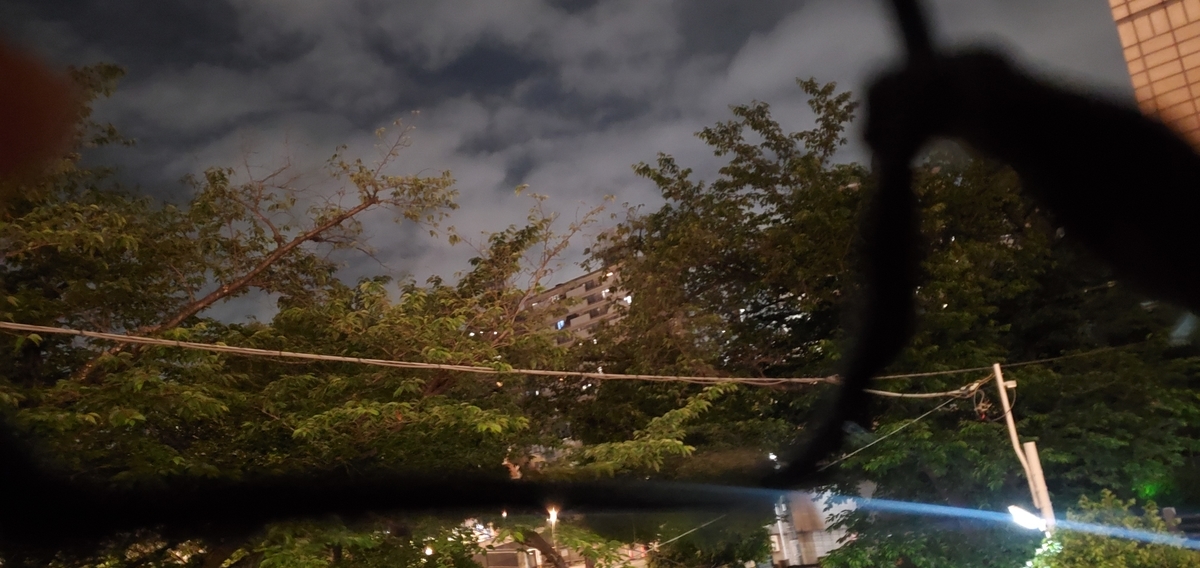 f:id:clear-rainy:20210524085128j:plain
