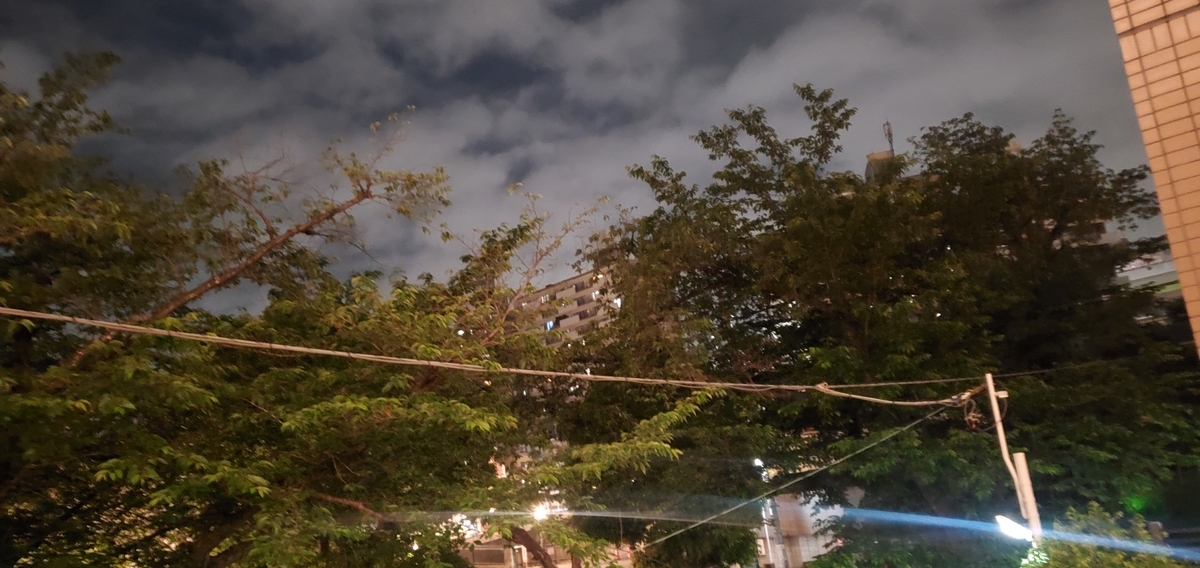f:id:clear-rainy:20210524085142j:plain