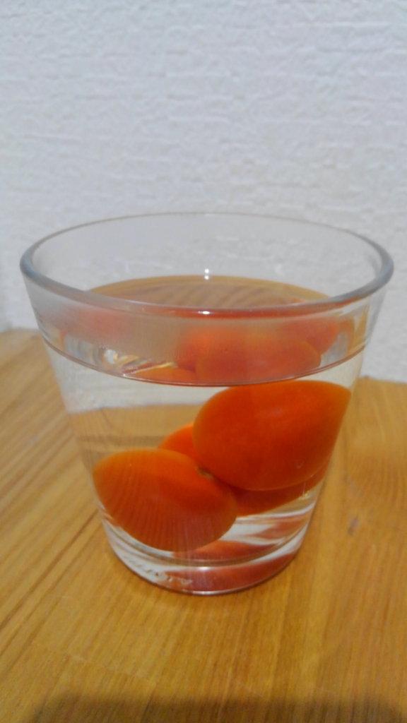 f:id:clear-rock:20180313221614j:plain