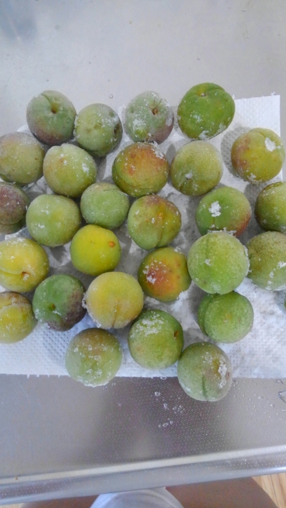 f:id:clear-rock:20180601180937j:plain