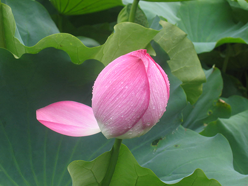 f:id:clearlist:20160415173129j:plain f:id:clearlist:20160415173129j:plain