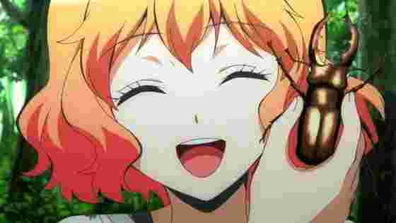 f:id:clearsterd:20200312202426j:plain f:id:clearsterd:20200312202426j:plain