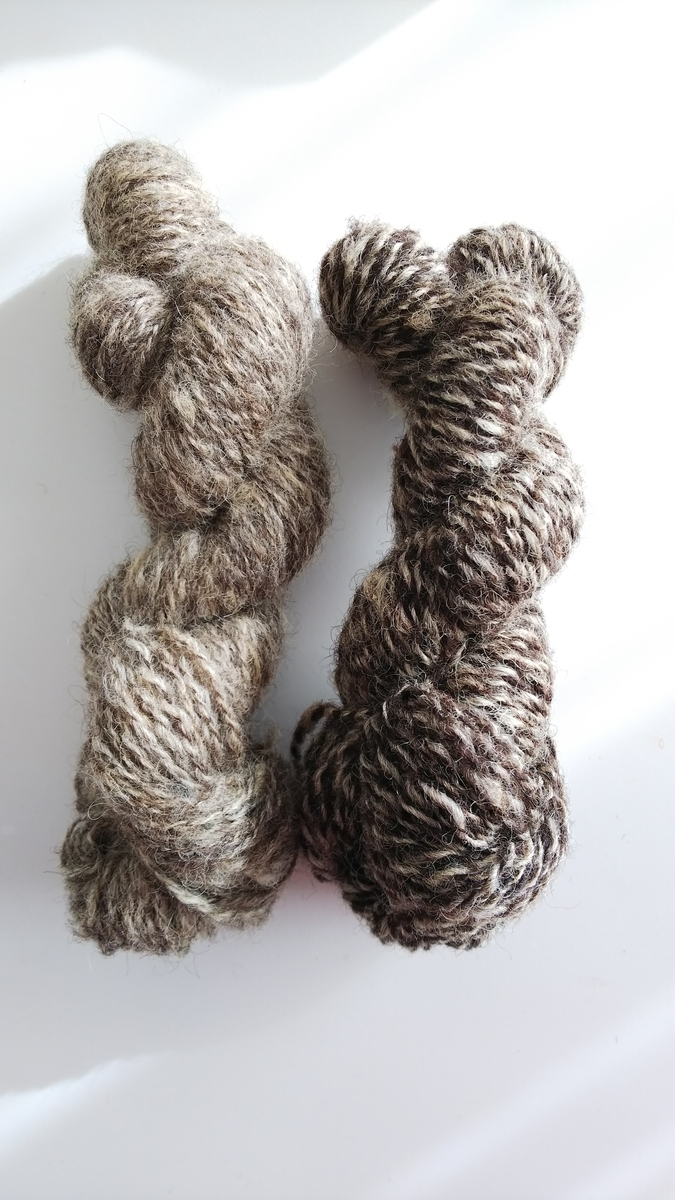 f:id:clematis2:20191104084713j:plain