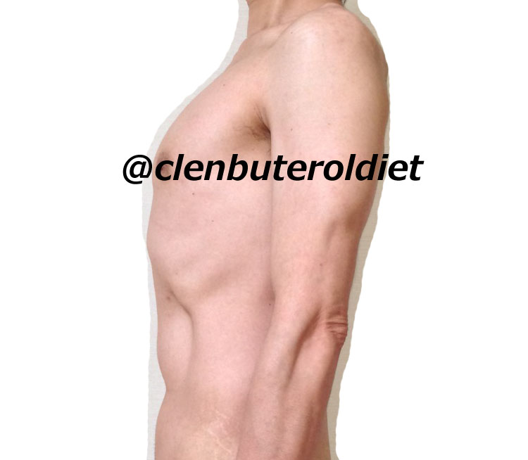 f:id:clenbuteroldiet:20170725160412j:plain