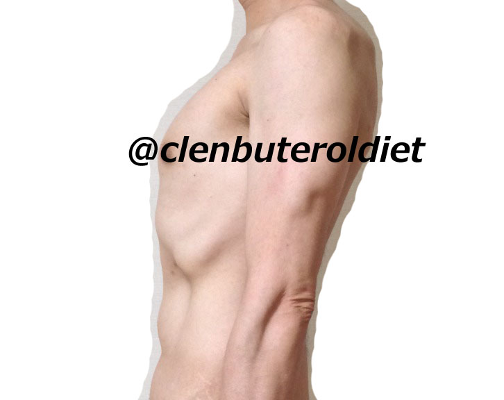 f:id:clenbuteroldiet:20170730022815j:plain