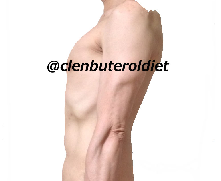 f:id:clenbuteroldiet:20170804094257j:plain