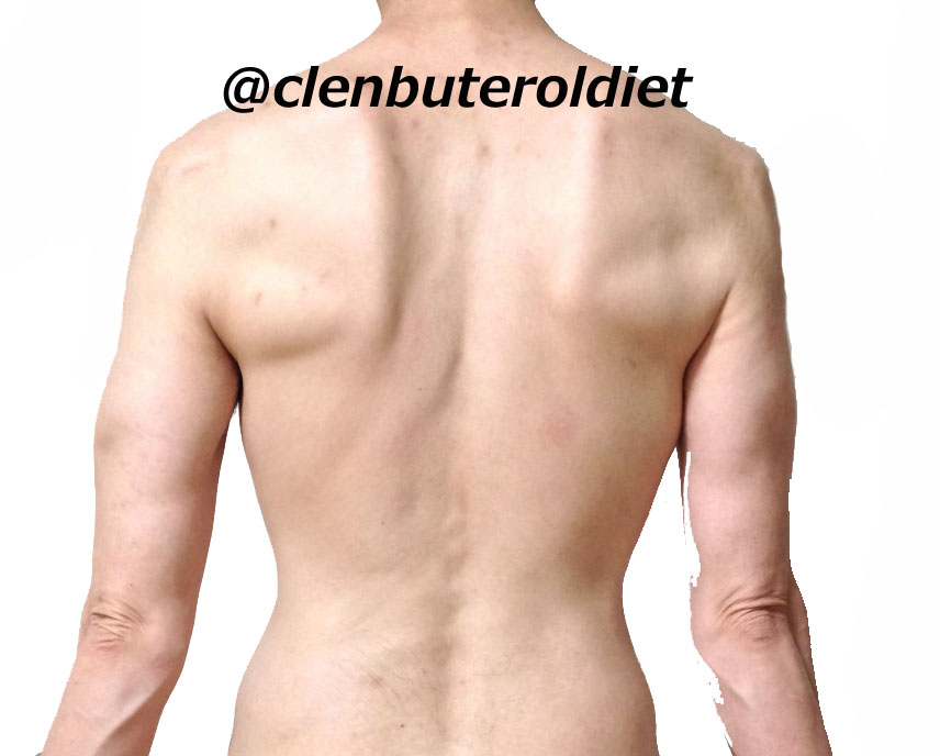 f:id:clenbuteroldiet:20170804094415j:plain
